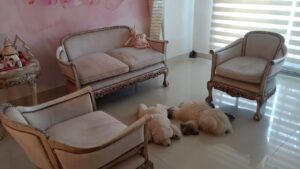 Sillón estilo francés clásico