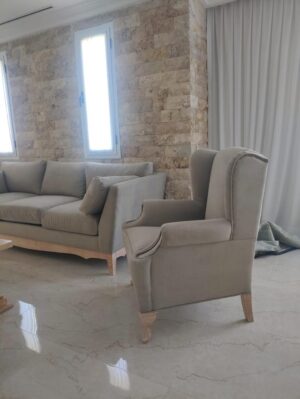 Juego de sillón contemporáneo